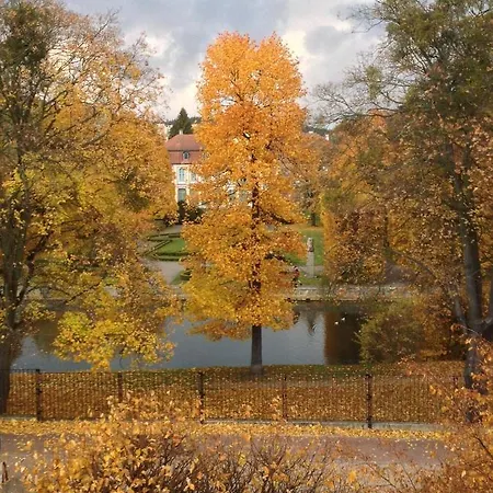 Comfort Oliwa 格但斯克