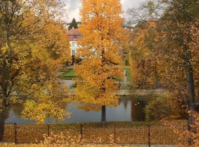 Comfort Oliwa Gdańsk